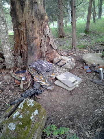 Zoom in honey hole.jpg