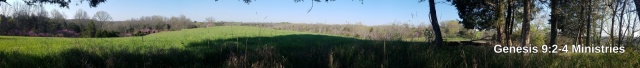 Zoom in 2-20210419_094701.jpg