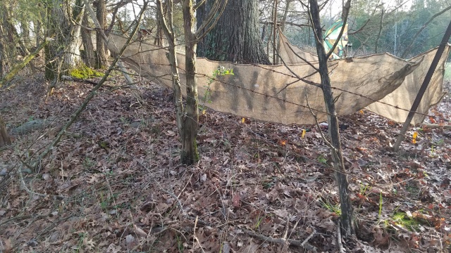 Zoom in 20170402_080212.jpg