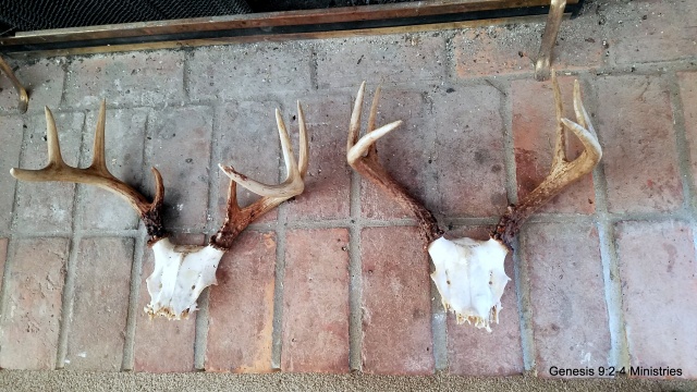 Zoom in 1-20181123_101343.jpg