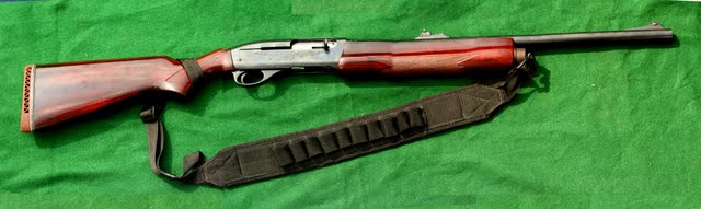 Zoom in Rem1100Slug.jpg