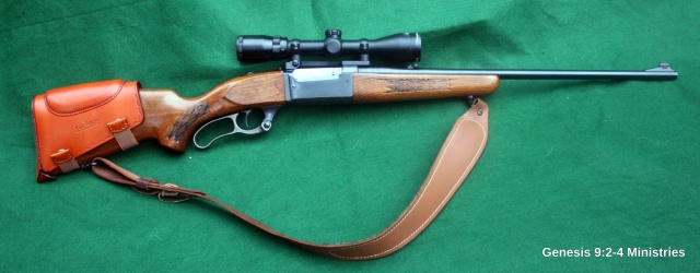 Zoom in Savage99.jpg