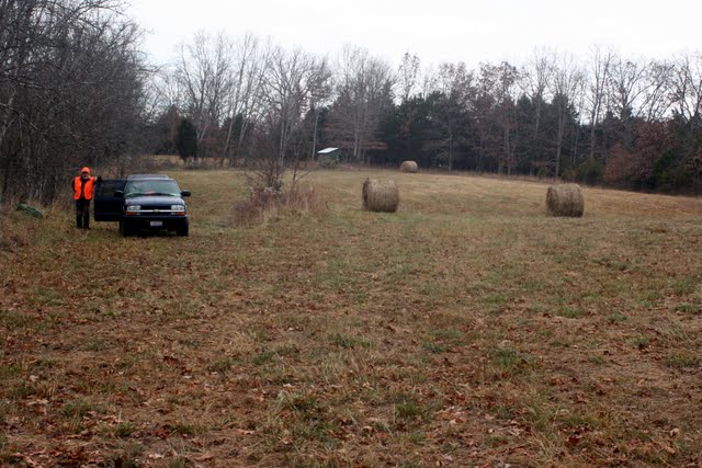 Zoom in IMG_3962.jpg