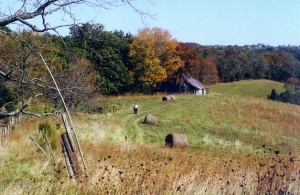 pooh0210.JPG