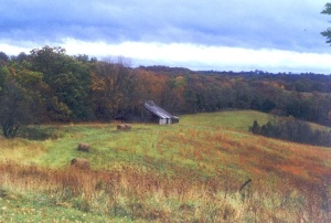 poohcornr0110.jpg