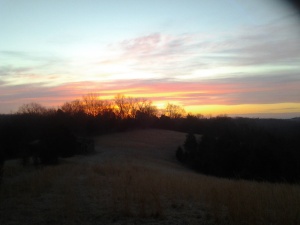 20140308_064810.jpg