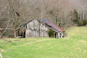 DFARM08a.jpg