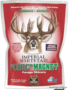 chicmagnet.webp