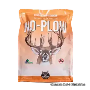NP5_No-Plow_STUDIO_FRONT_2025_WEB_1__50075.webp
